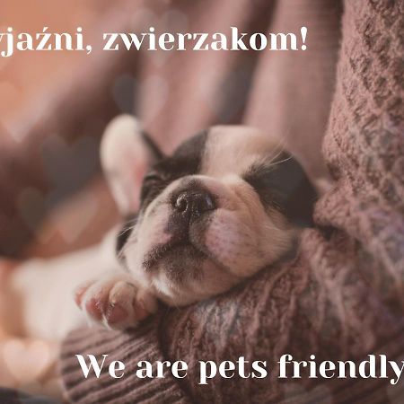 Willa Jordanówka Czorsztyn Exterior foto