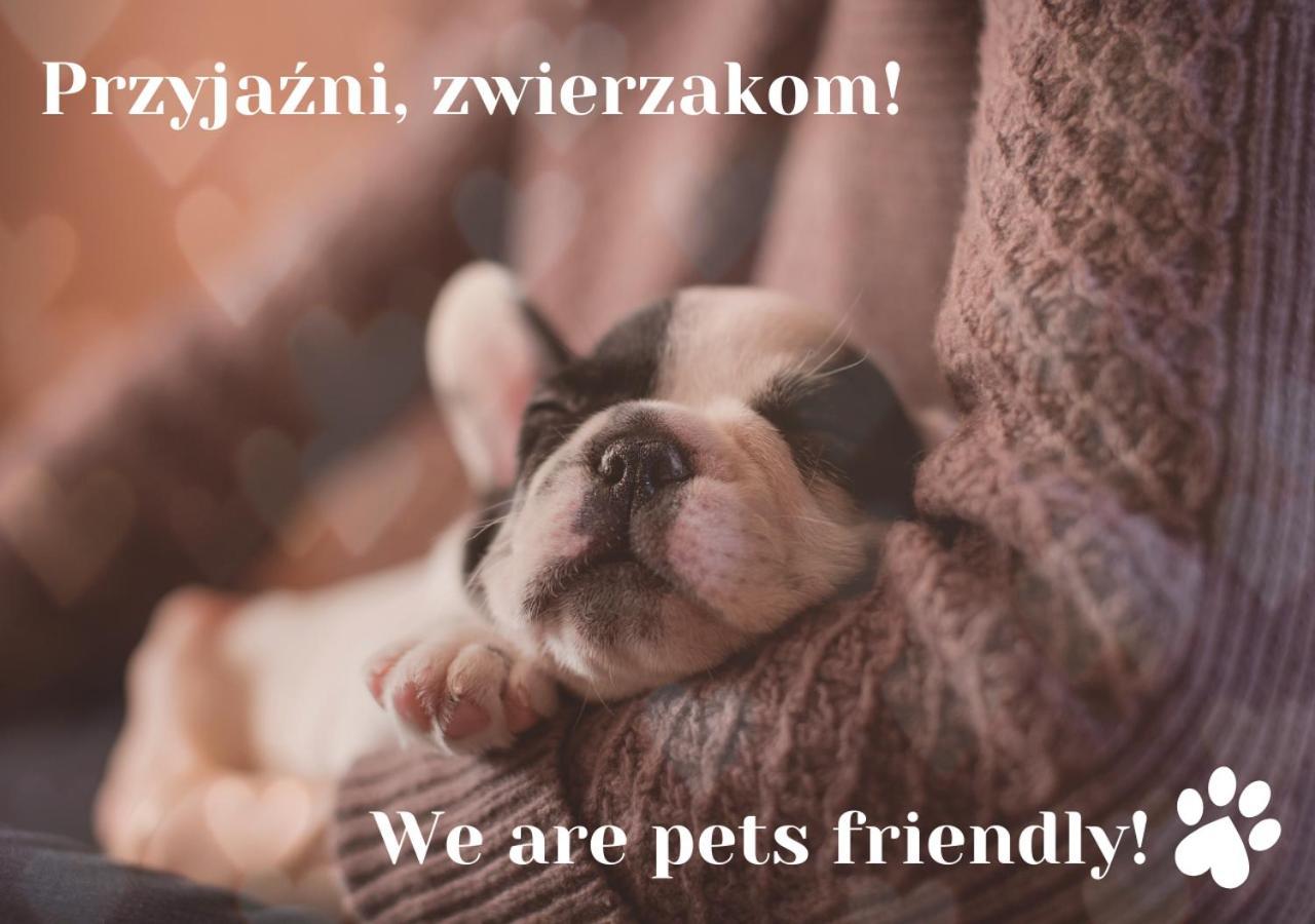Willa Jordanówka Czorsztyn Exterior foto